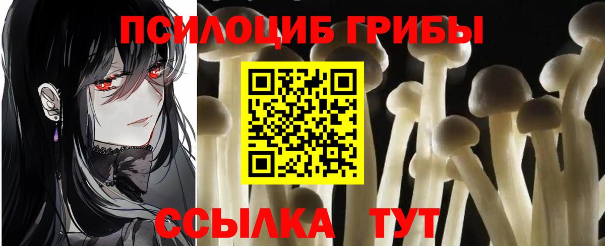 Галлюциногенные грибы GOLDEN TEACHER Семилуки